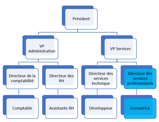 Directeur des services professionnels