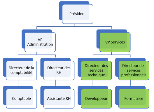 VP Services